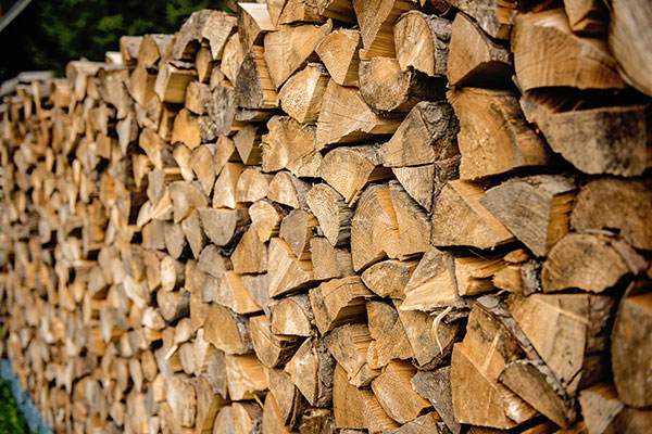 Bûches de bois fendues et rangées