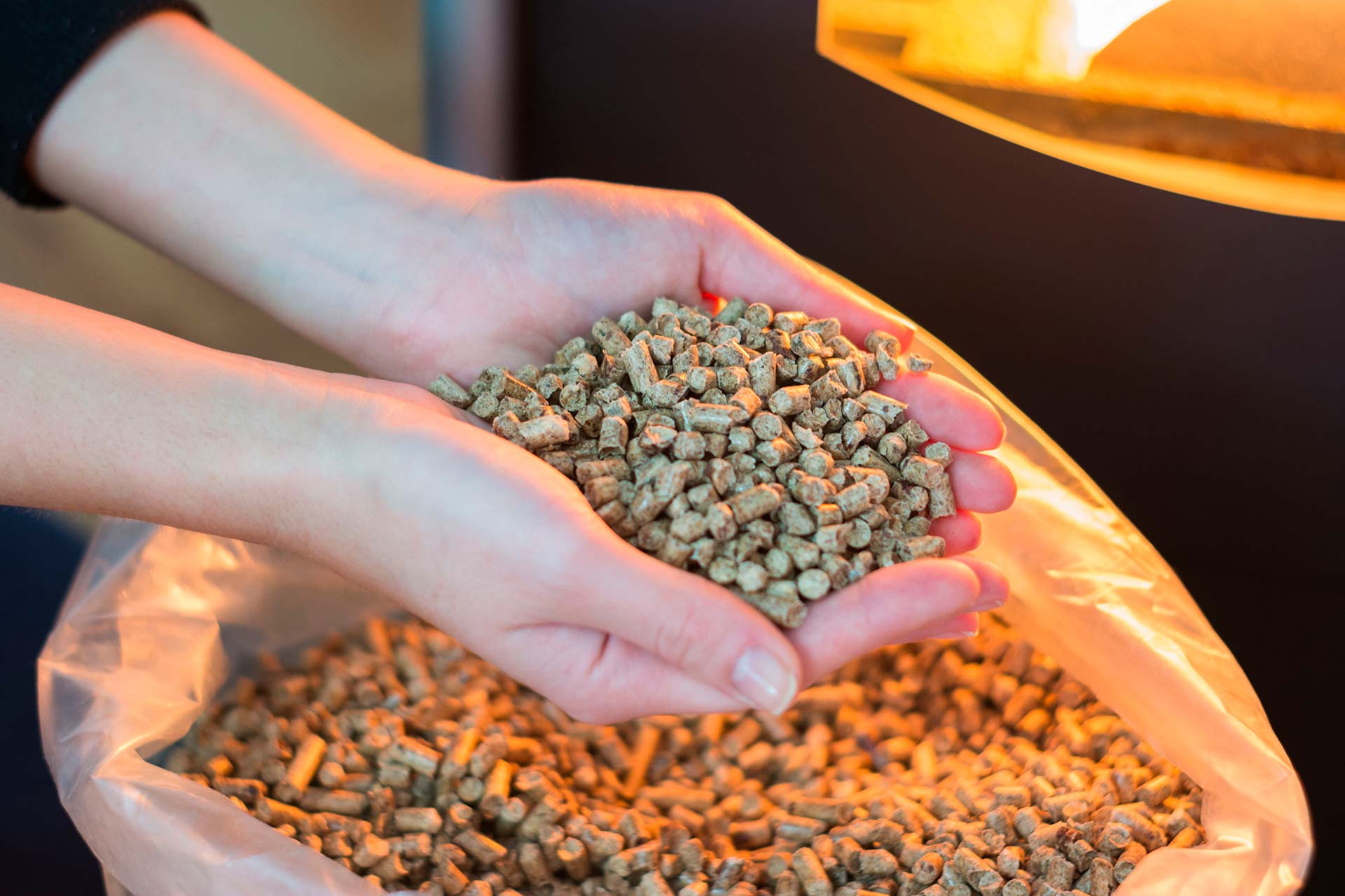 Pellets pour insert à bois stockés dans sac en plastique