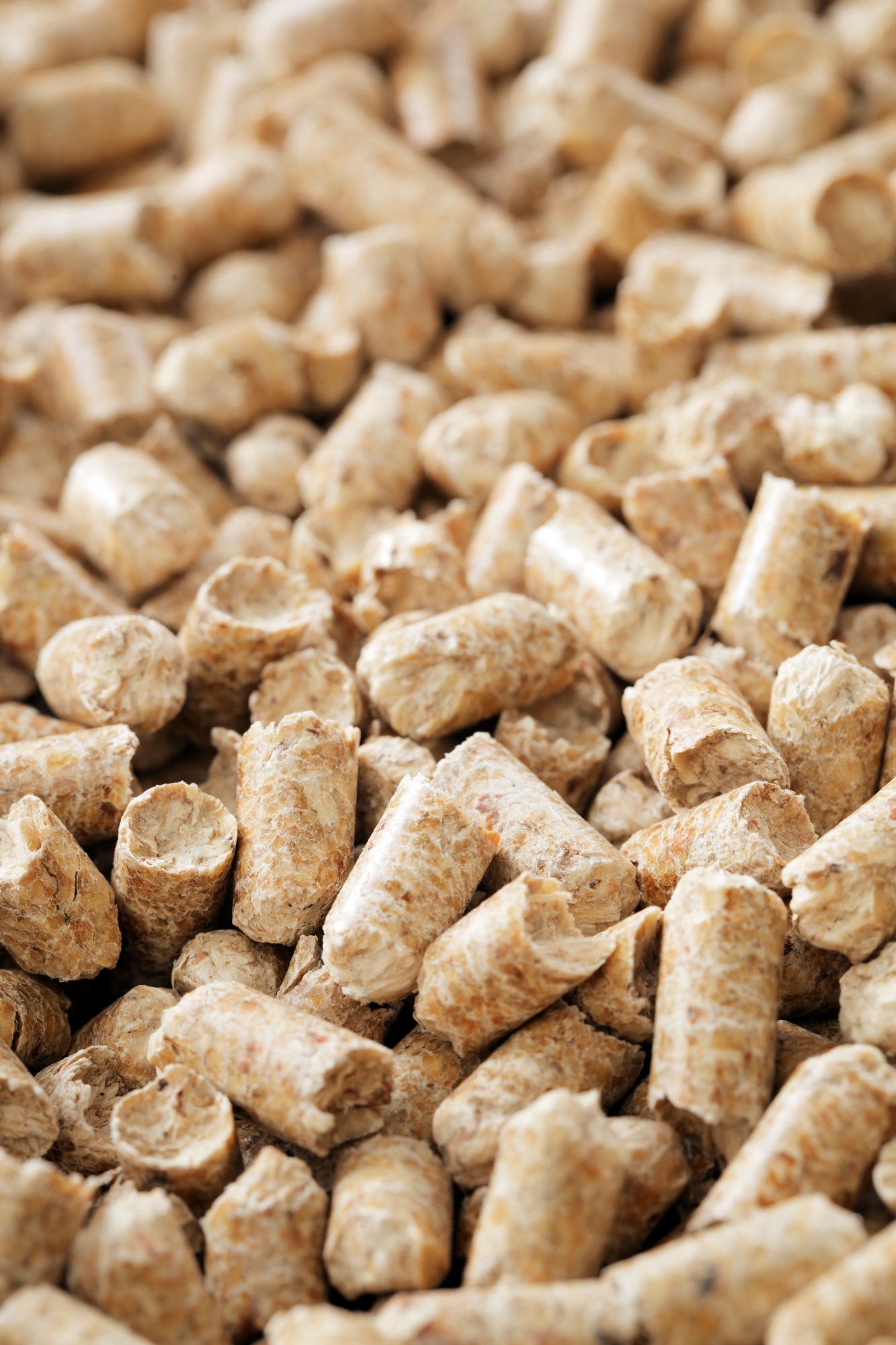 pellets de bois
