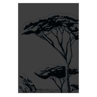 Protection murale Porquerolles Haute